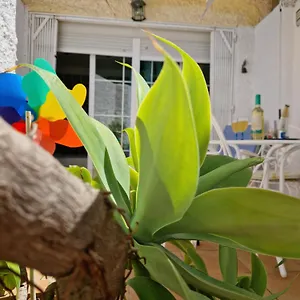  Apartment San Antonio - Beach, Pool And Terrace Spain