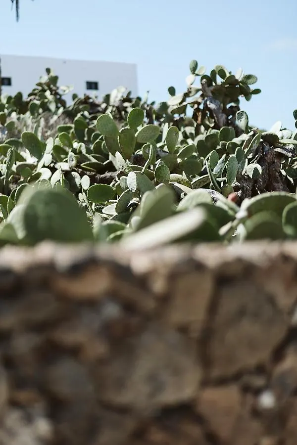Hotelito Rural Flor De Timanfaya Tinajo 0*,