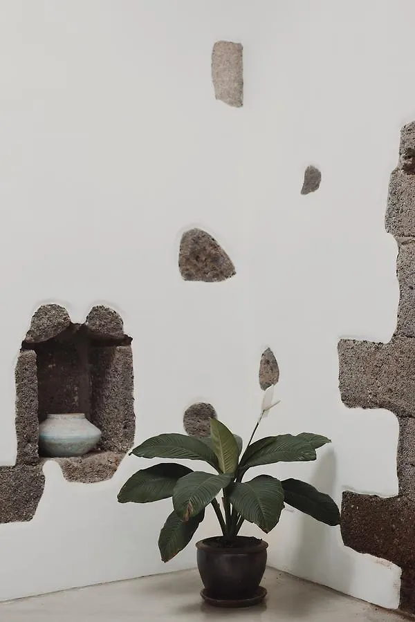 Hotelito Rural Flor De Timanfaya Tinajo
